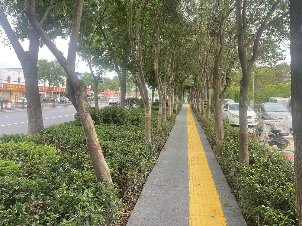 全过程造价咨询--滕州市平行南路(青啤大道-生态园)提升工程全过程造价咨询服务项目（全长2.8公里，项目预算总投资额约4000万元）